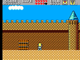 Wonder Boy In Monster Land Round 11