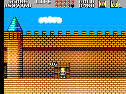 Wonder Boy In Monster Land Round 11