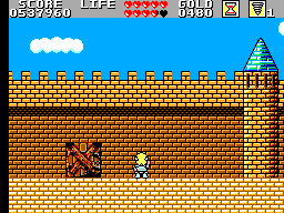 Wonder Boy In Monster Land Round 11