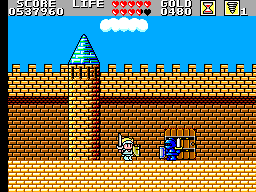 Wonder Boy In Monster Land Round 11