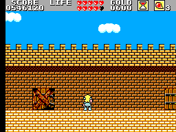 Wonder Boy In Monster Land Round 11