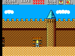 Wonder Boy In Monster Land Round 11