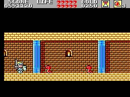 Wonder Boy In Monster Land Round 12