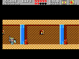 Wonder Boy In Monster Land Round 12