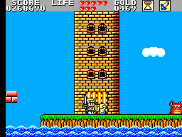 Wonder Boy In Monster Land Round 7