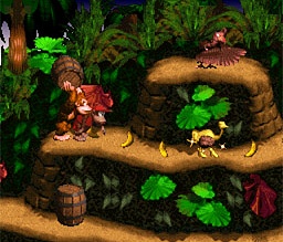 Donkey Kong Country from Nintendo (SNES)