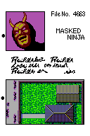 Mission 5 - 4 Stages Boss is Masked Ninja