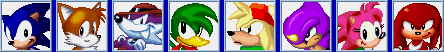 Characters of Sonic The Fighters