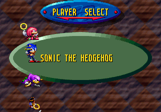 Sonic in Knuckles' Chaotix